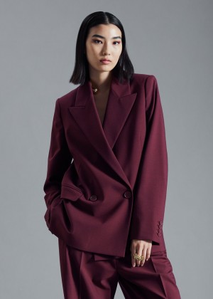 Blejzer & Other Stories Tailored Damske Nachový | SK-WU0694257