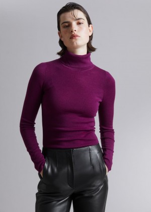 Sveter & Other Stories Fitted Merino Knit Turtleneck Damske Nachový | SK-IQ1529648