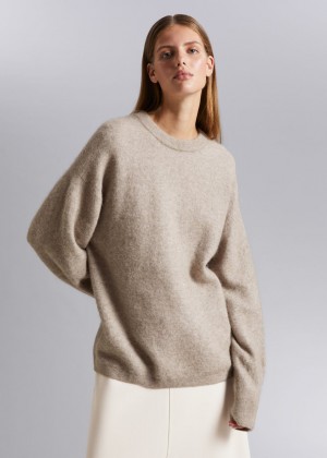 Sveter & Other Stories Oversized Knit Damske Hnede | SK-GB2187403